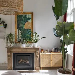 Musa Antwerp